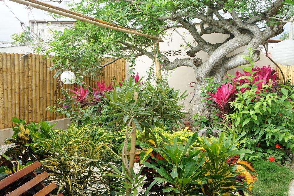 Rincon D'Olon Boutique Hotel Dış mekan fotoğraf